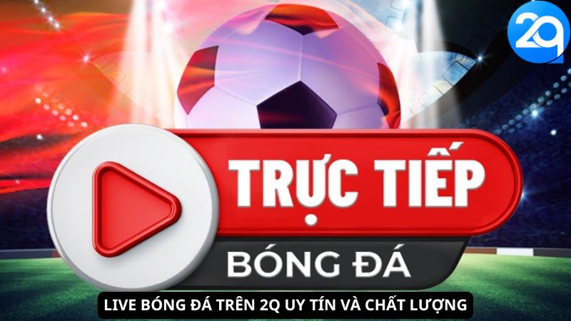 Xem Live Bóng Đá Trên 2Q uy tín và chất lượng