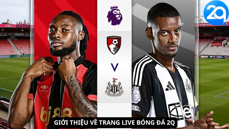 Giới thiệu về Trang Live Bóng Đá 2Q